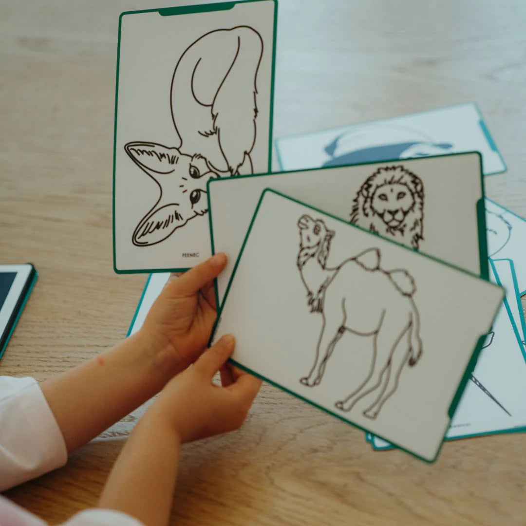 Refill KIDYDRAW-MINI | Extra kaarten met het thema “Dieren over de hele wereld en Oceanen & Piraten