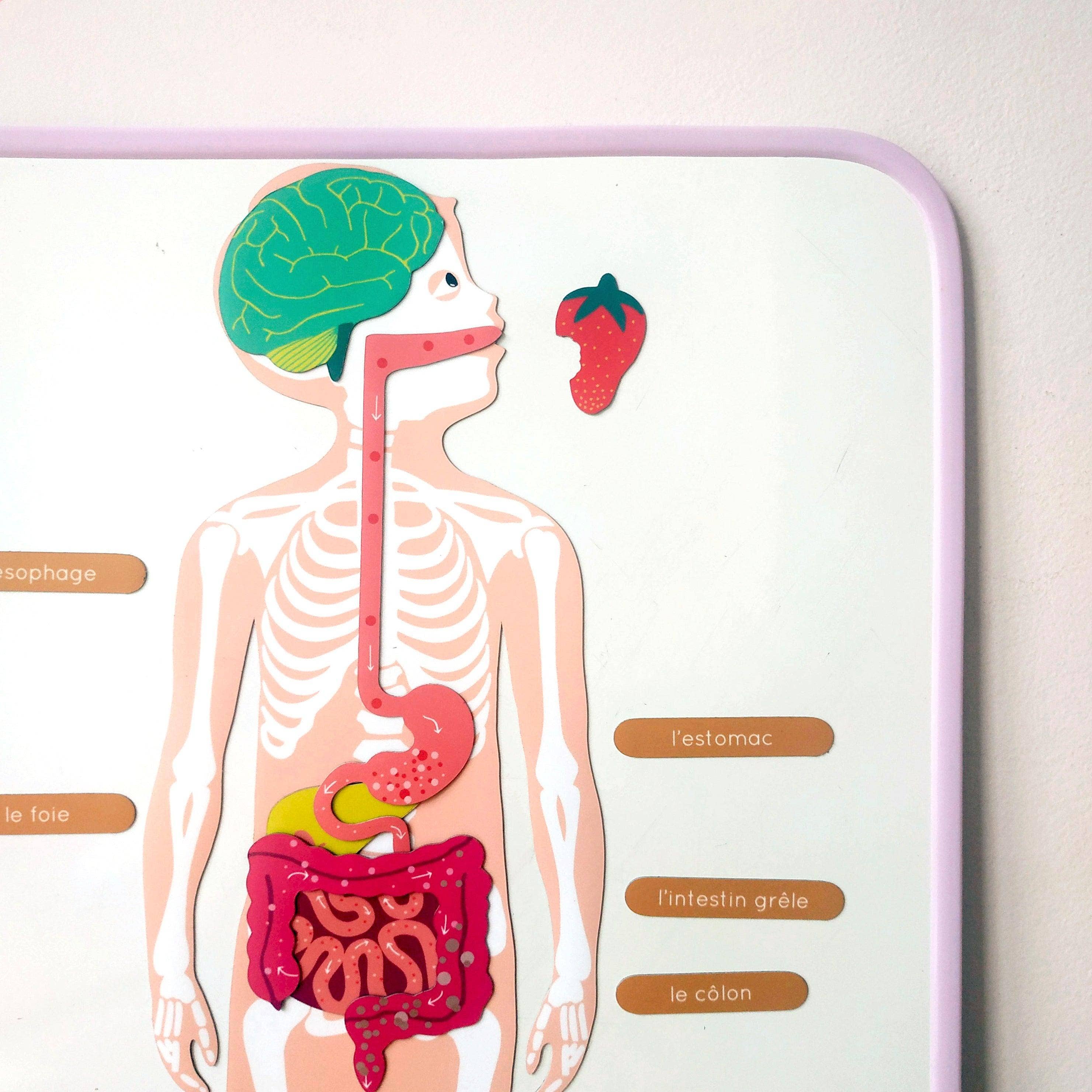 Ma Cabane à Rêves | Magnetisch Whiteboard | Lila