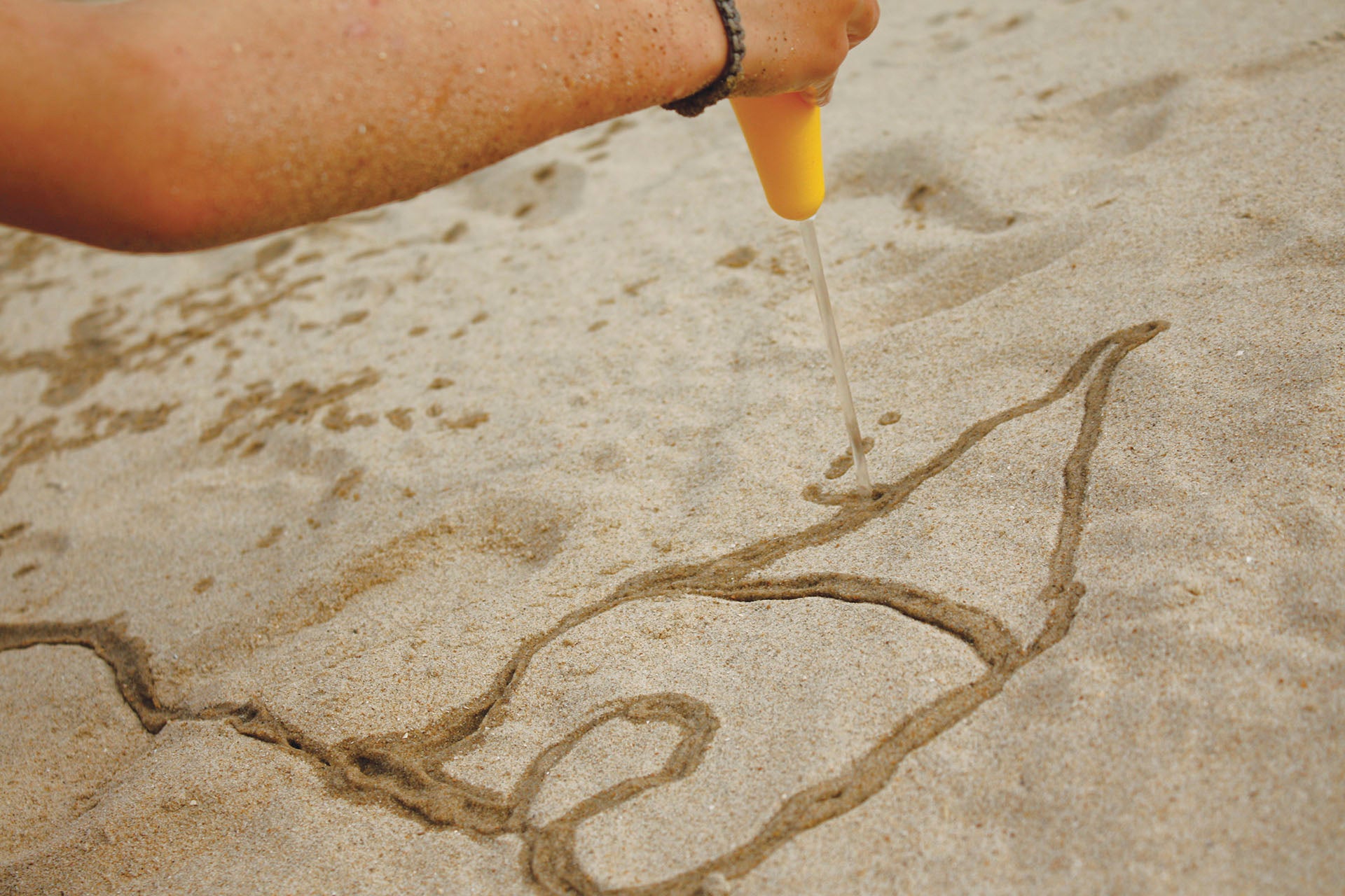 Cuppi | Banana Blue | Quut