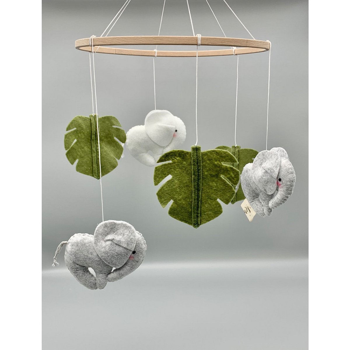 MOBIEL OLIFANT | 2 Stories