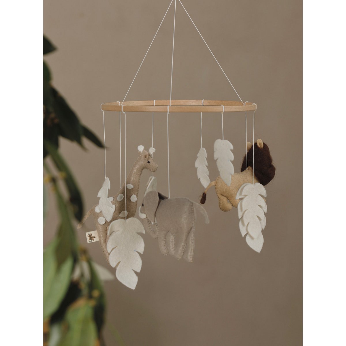 SAFARI Mobiel | 2 Stories