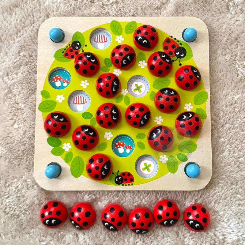 Wooden Educational Memory Puzzle Ladybugs