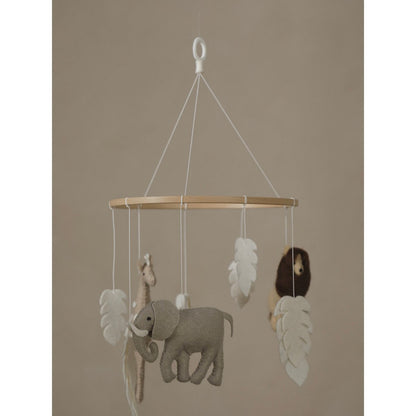SAFARI Mobiel | 2 Stories
