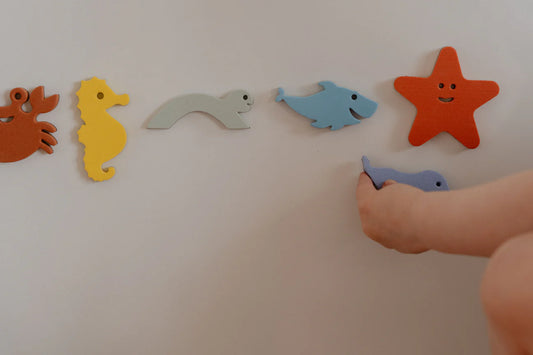 Moes Play | Magnetic Zeedieren