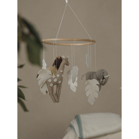 SAFARI Mobiel | 2 Stories