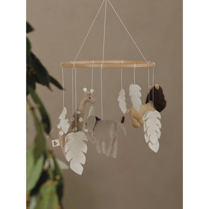 SAFARI Mobiel | 2 Stories