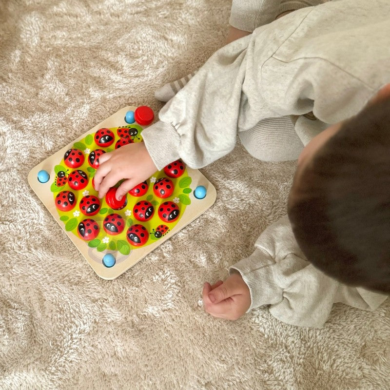Wooden Educational Memory Puzzle Ladybugs