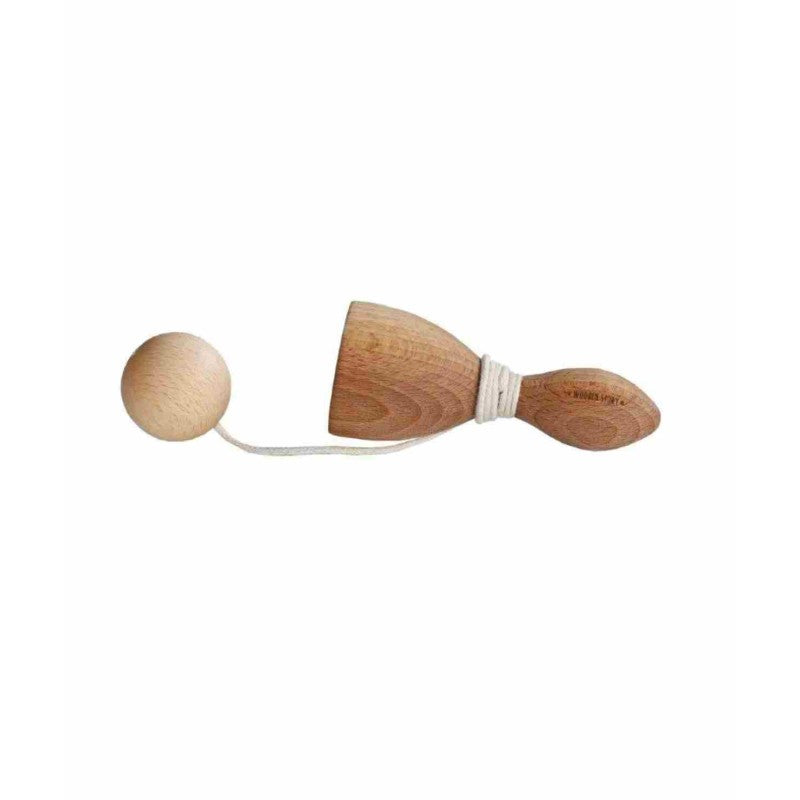 Wooden Swing and Catch Game